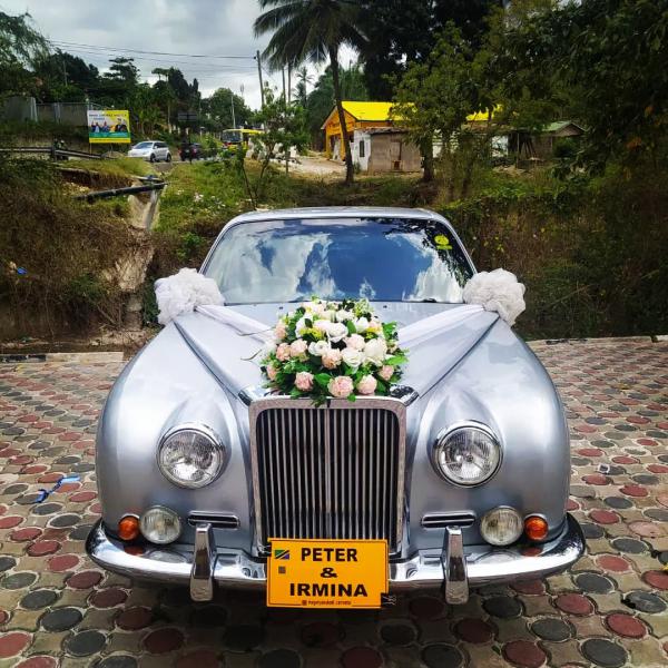 Vintage Mitsuoka